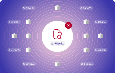 The PDF hash is not found on the blockchain